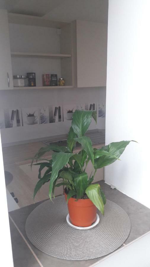 Melody Apartment Alba Iulia Exteriör bild